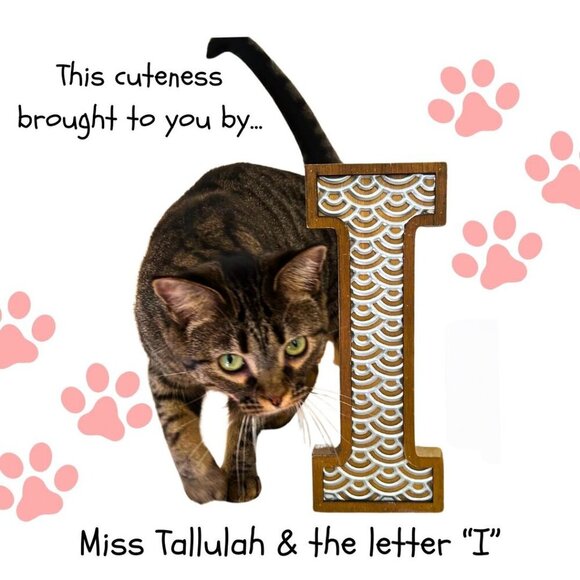 🟢DONATING 12/15!🟢 Hallmark Decorative Block Letter "I" Wooden - Picture 3 of 12